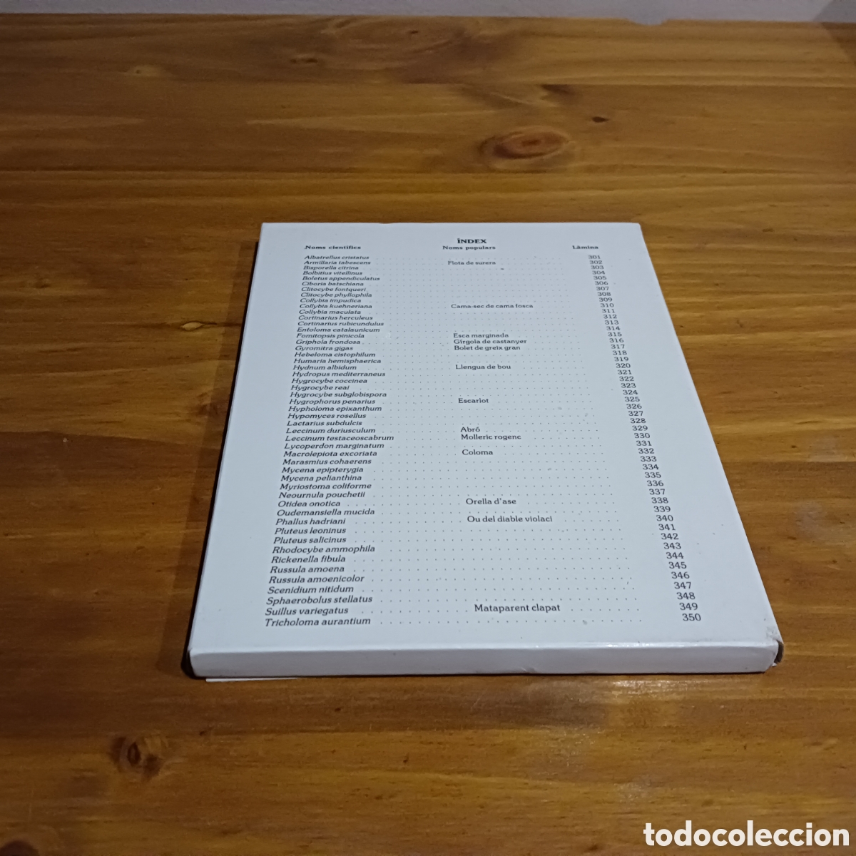 Libros de segunda mano: Bolets de catalunya. - Foto 2