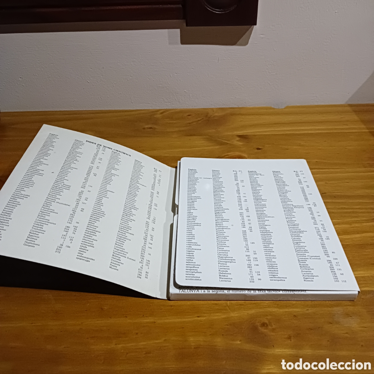 Libros de segunda mano: Bolets de catalunya. - Foto 3