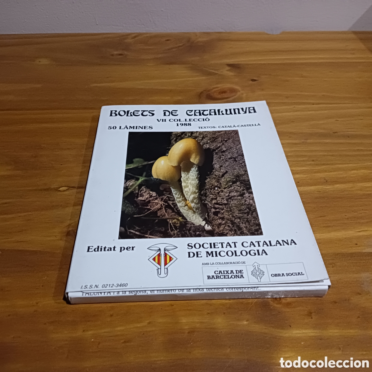 Libros de segunda mano: Bolets de catalunya. - Foto 1