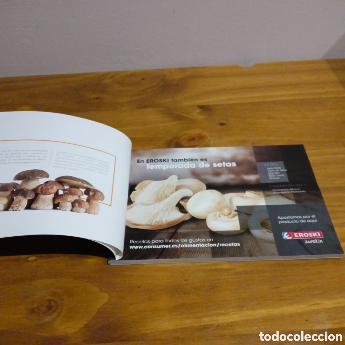 Libros de segunda mano: Setas del pa&iacute;s Vasco - Foto 2