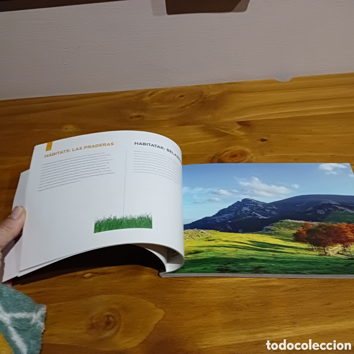 Libros de segunda mano: Setas del pa&iacute;s Vasco - Foto 4