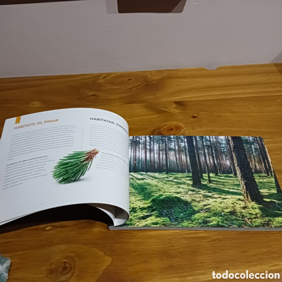 Libros de segunda mano: Setas del pa&iacute;s Vasco - Foto 5