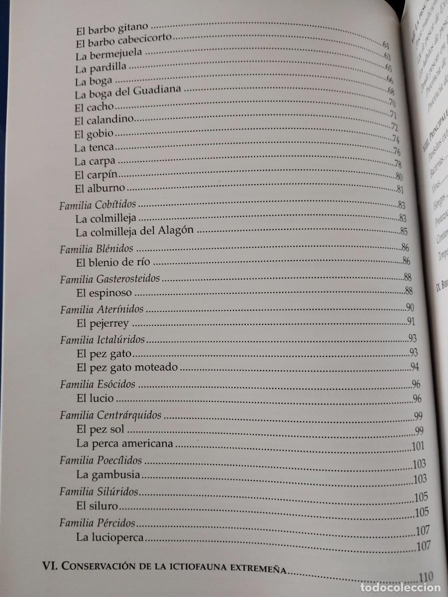 Libros de segunda mano: Los peces de Extremadura. - Foto 3