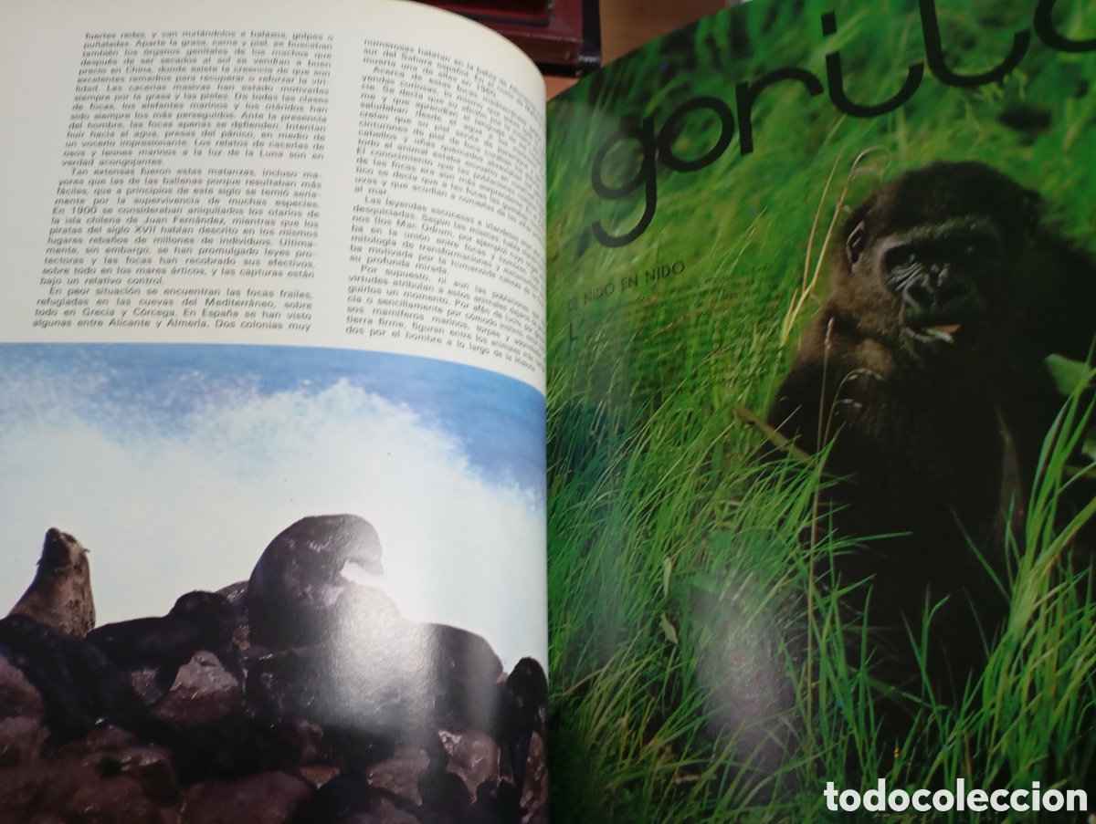 Libros de segunda mano: Zoo Amigo, segundo volumen - Foto 2