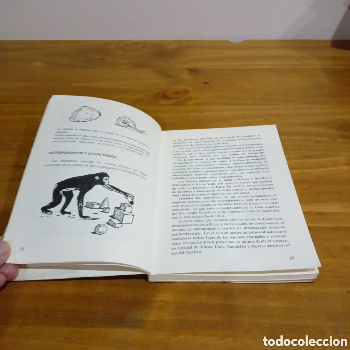 Libros de segunda mano: Animales que sirven a la ciencia. - Foto 3
