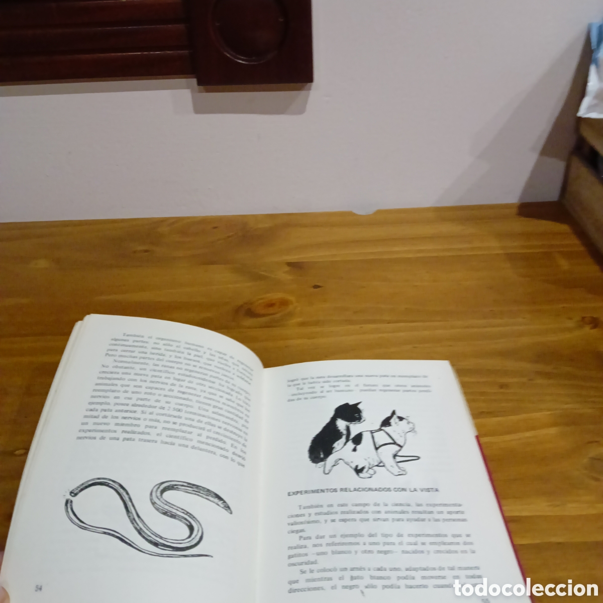 Libros de segunda mano: Animales que sirven a la ciencia. - Foto 5