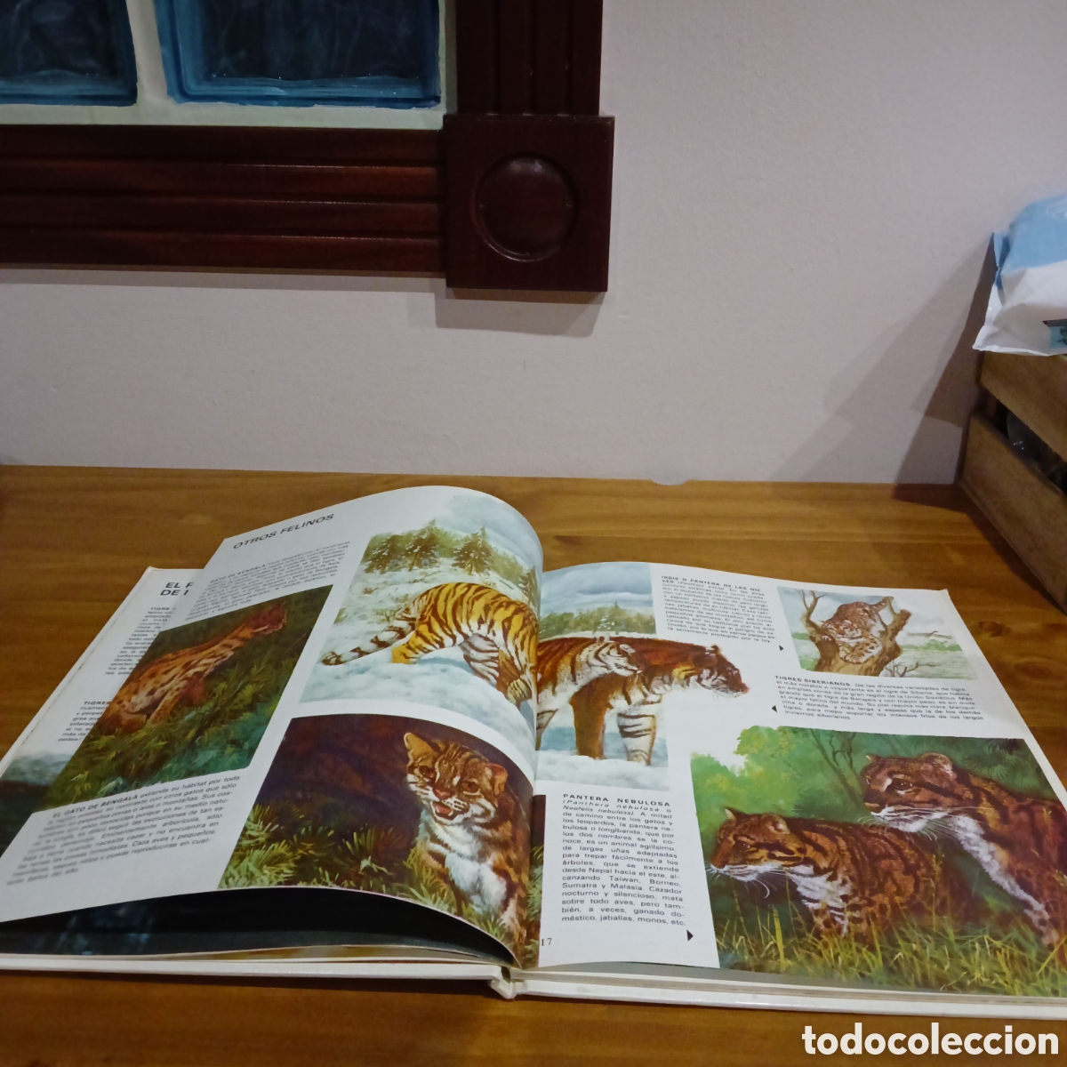 Libros de segunda mano: Vida &iacute;ntima de los animales. Auriga ciencia - Foto 4