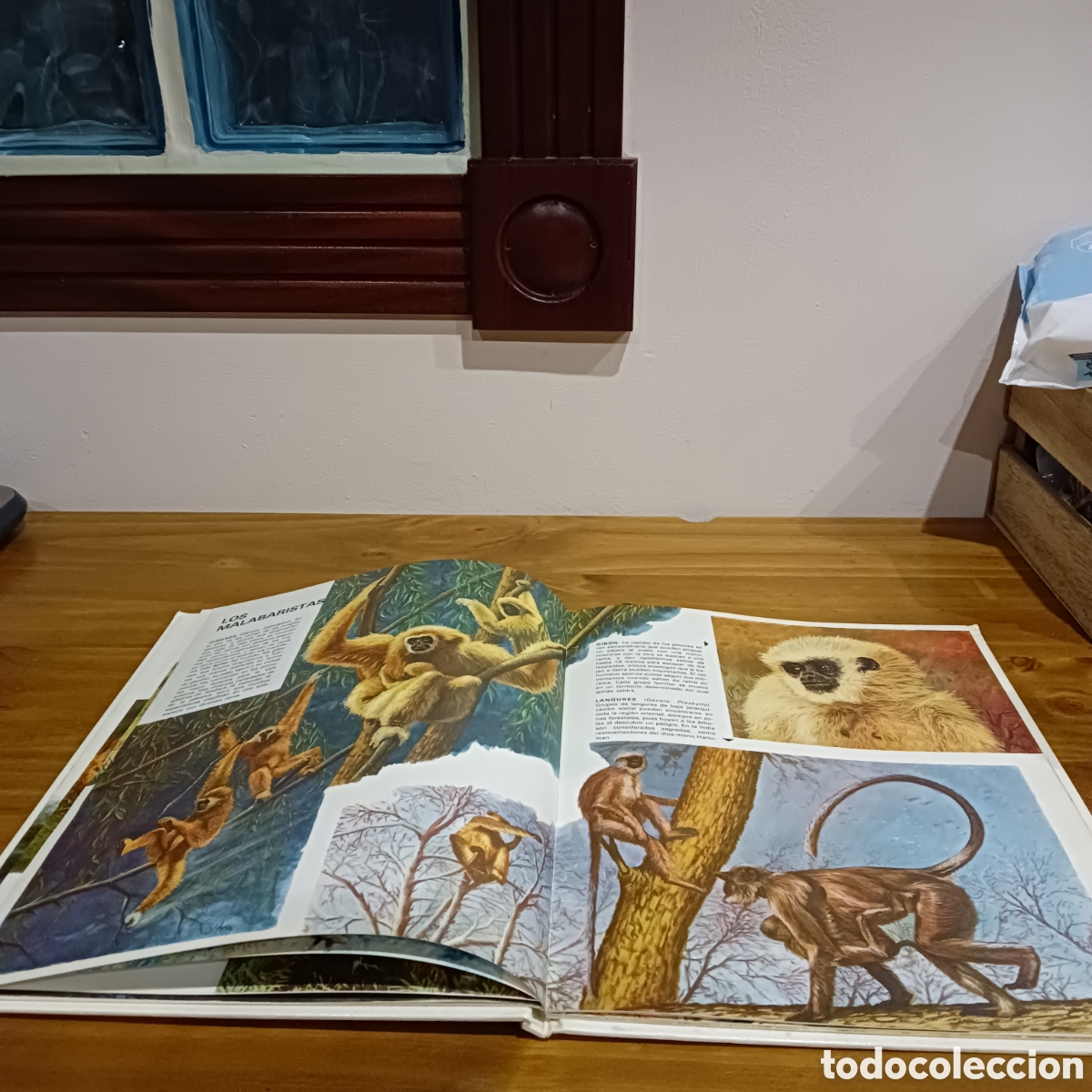 Libros de segunda mano: Vida &iacute;ntima de los animales. Auriga ciencia - Foto 5
