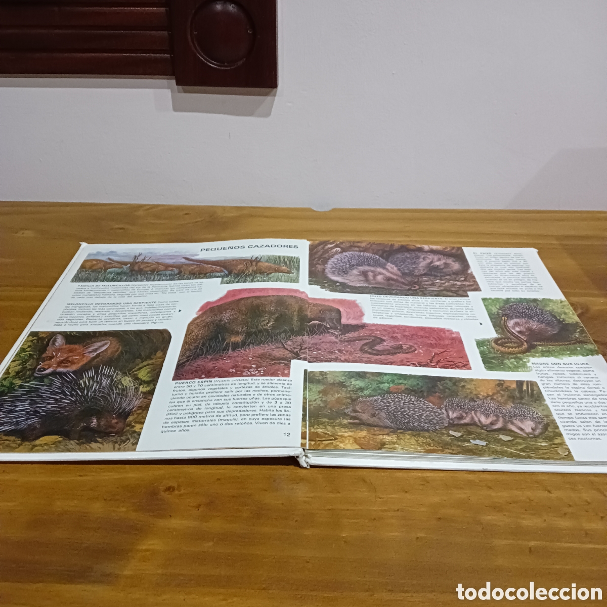Libros de segunda mano: Vida &iacute;ntima de los animales. Auriga ciencia. - Foto 3