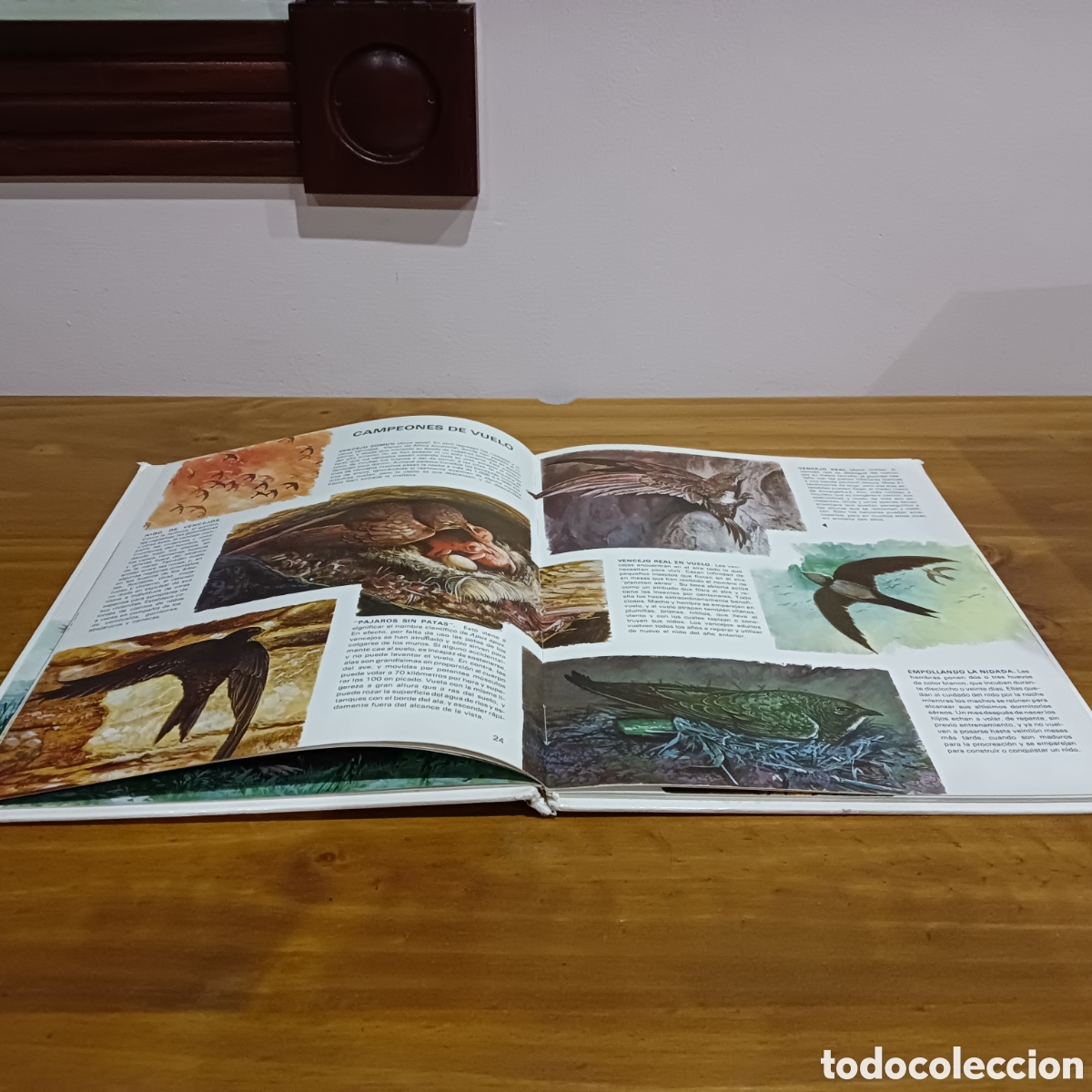 Libros de segunda mano: Vida &iacute;ntima de los animales. Auriga ciencia. - Foto 4