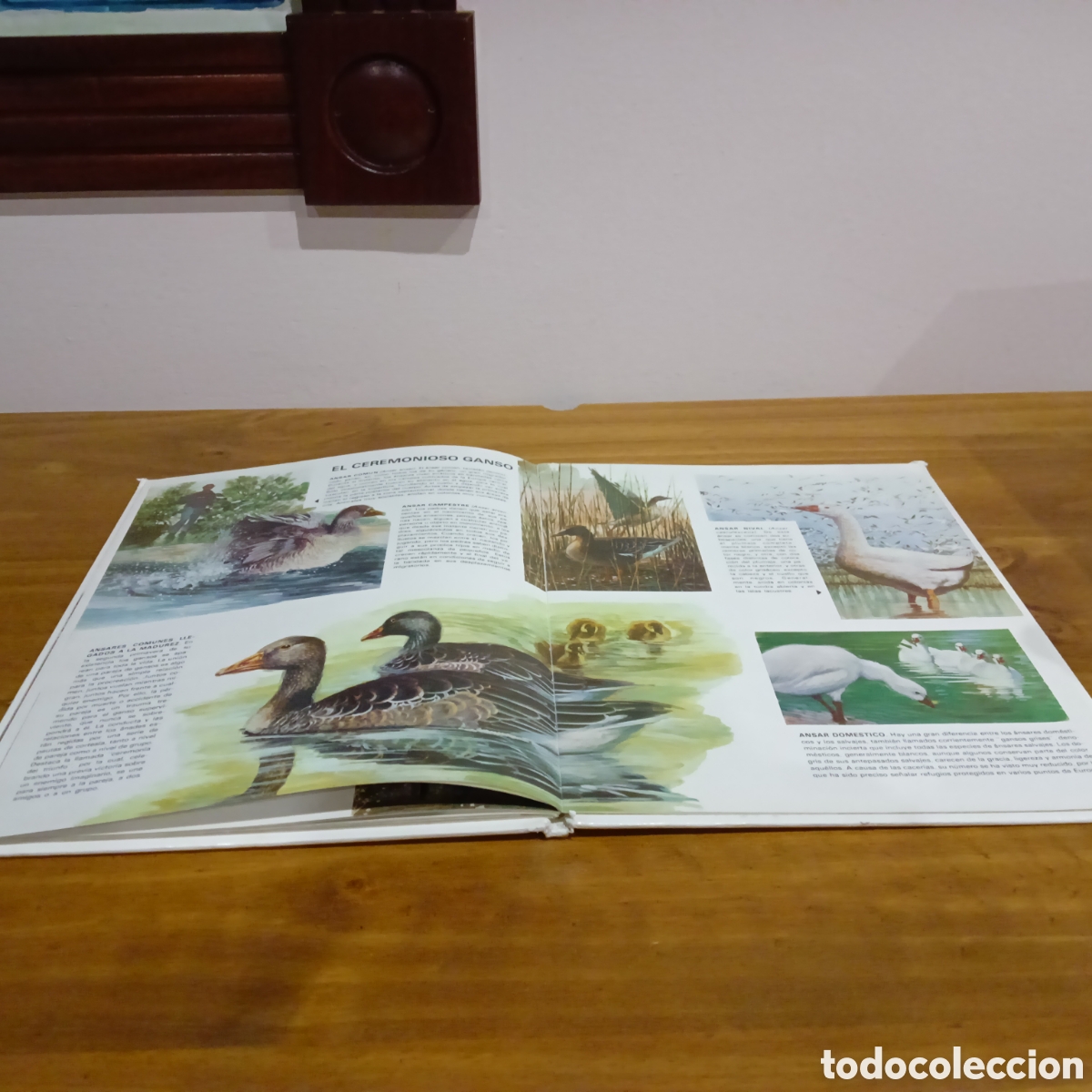 Libros de segunda mano: Vida &iacute;ntima de los animales. Auriga ciencia. - Foto 5