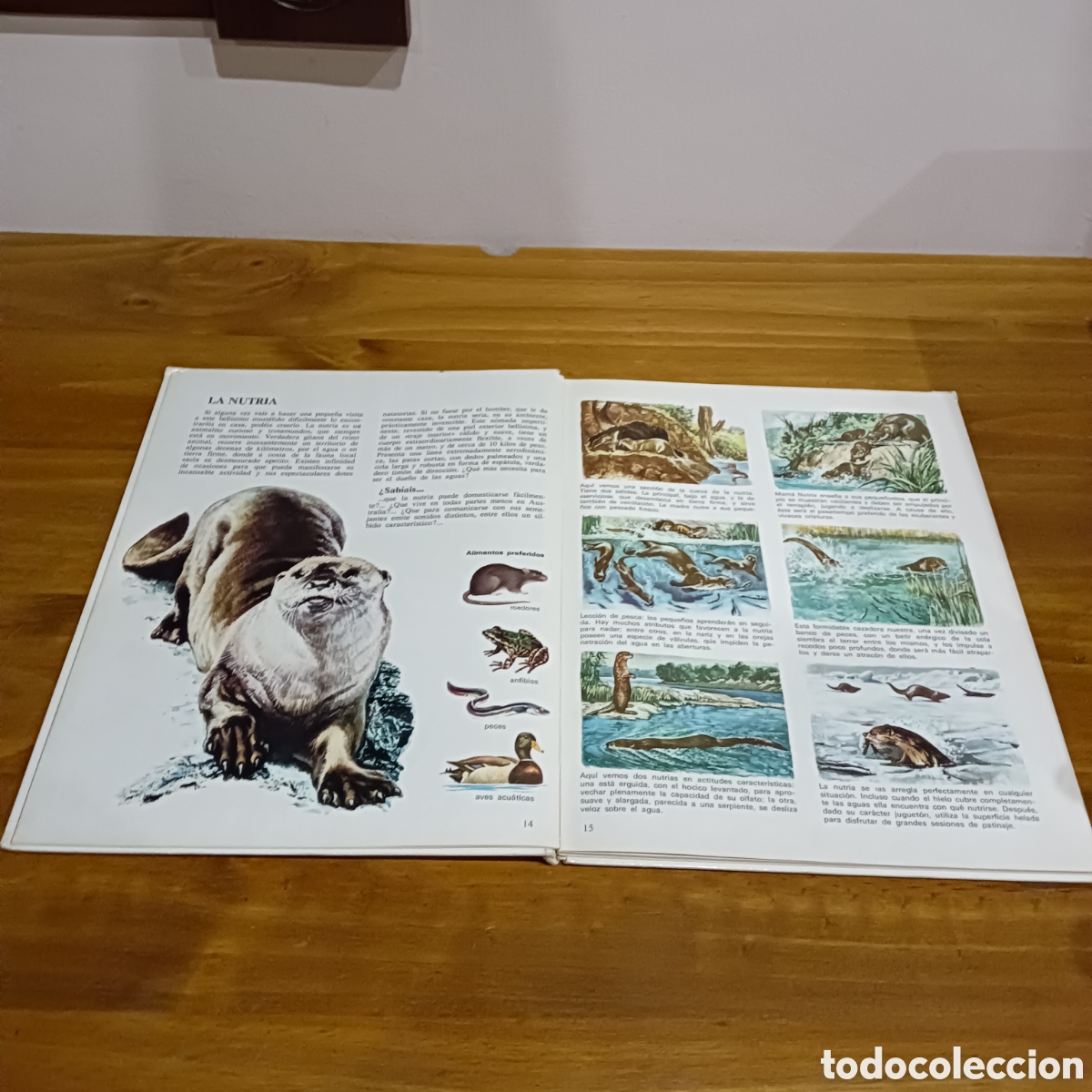 Libros de segunda mano: Vida &iacute;ntima de los animales. Auriga ciencia - Foto 3