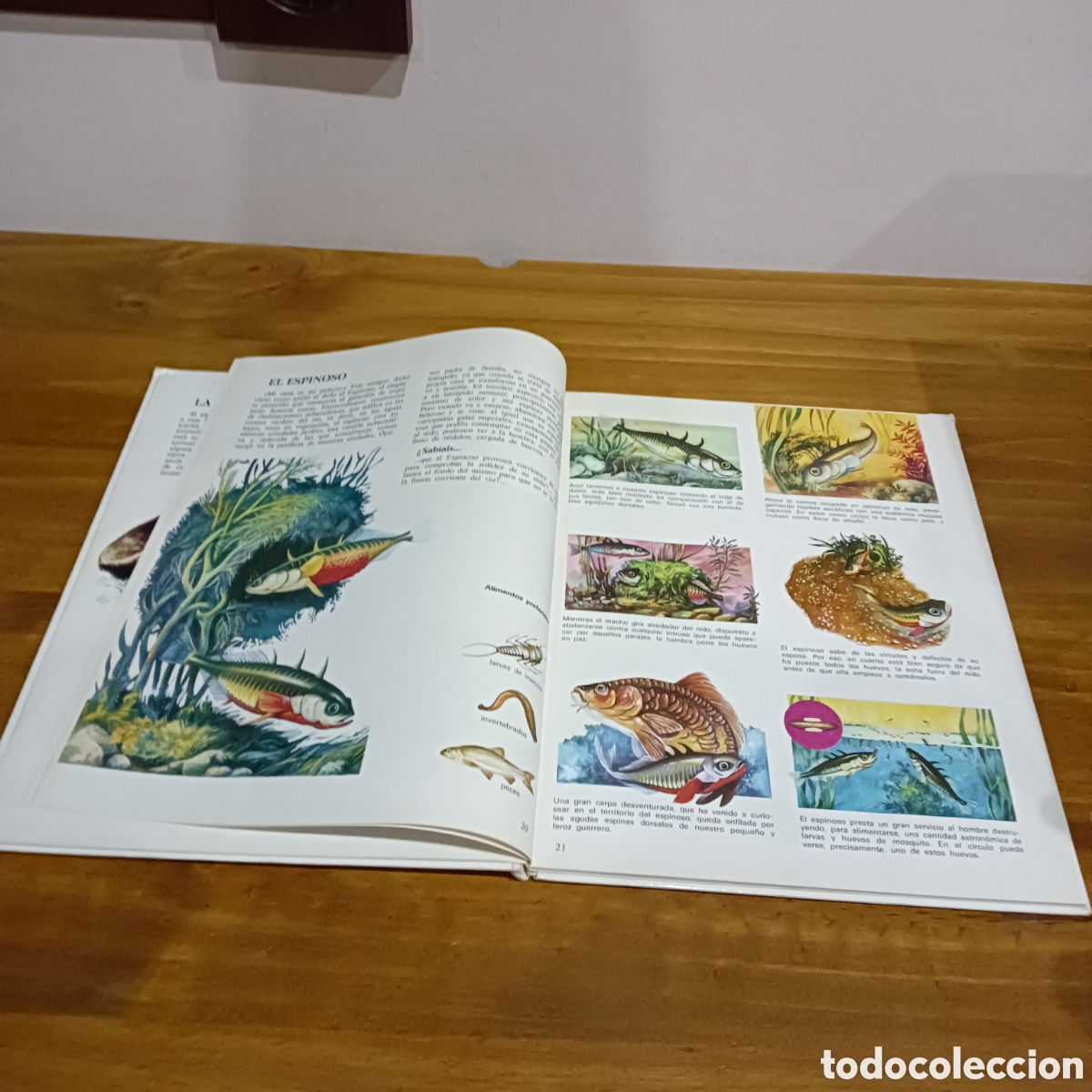 Libros de segunda mano: Vida &iacute;ntima de los animales. Auriga ciencia - Foto 4