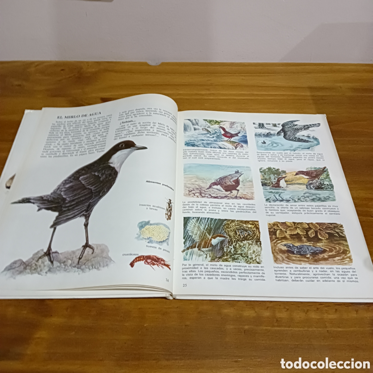 Libros de segunda mano: Vida &iacute;ntima de los animales. Auriga ciencia - Foto 5