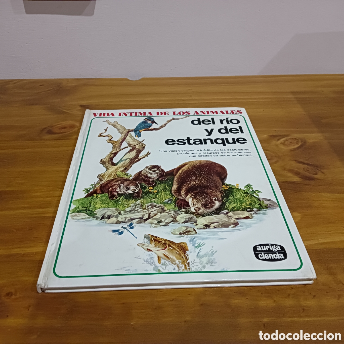 Libros de segunda mano: Vida &iacute;ntima de los animales. Auriga ciencia - Foto 1