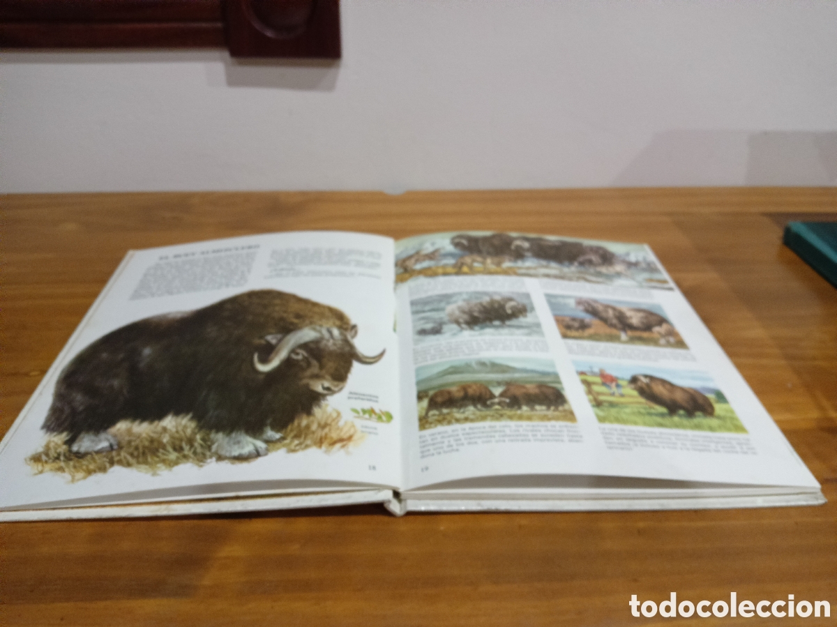 Libros de segunda mano: Vida &iacute;ntima de los animales. Auriga ciencia - Foto 4