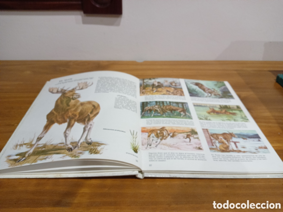 Libros de segunda mano: Vida &iacute;ntima de los animales. Auriga ciencia - Foto 5