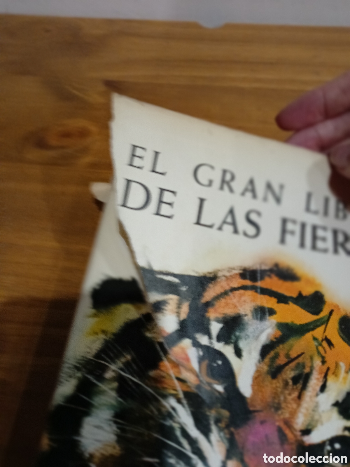 Libros de segunda mano: El gran libro de las fieras - Foto 2