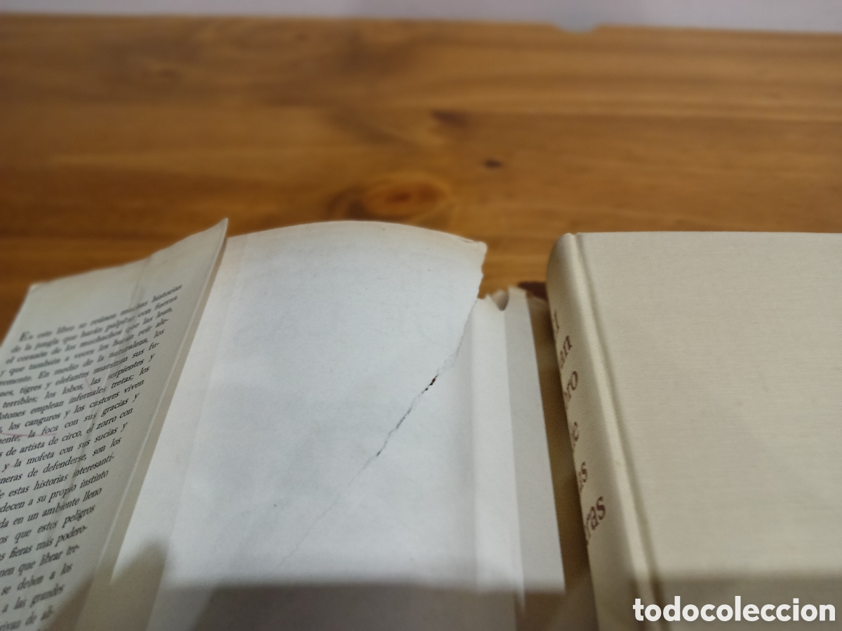 Libros de segunda mano: El gran libro de las fieras - Foto 4