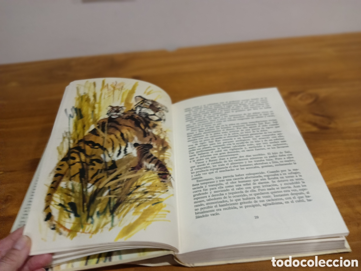 Libros de segunda mano: El gran libro de las fieras - Foto 9