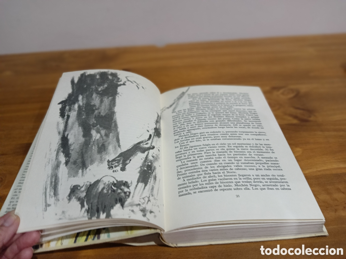 Libros de segunda mano: El gran libro de las fieras - Foto 10