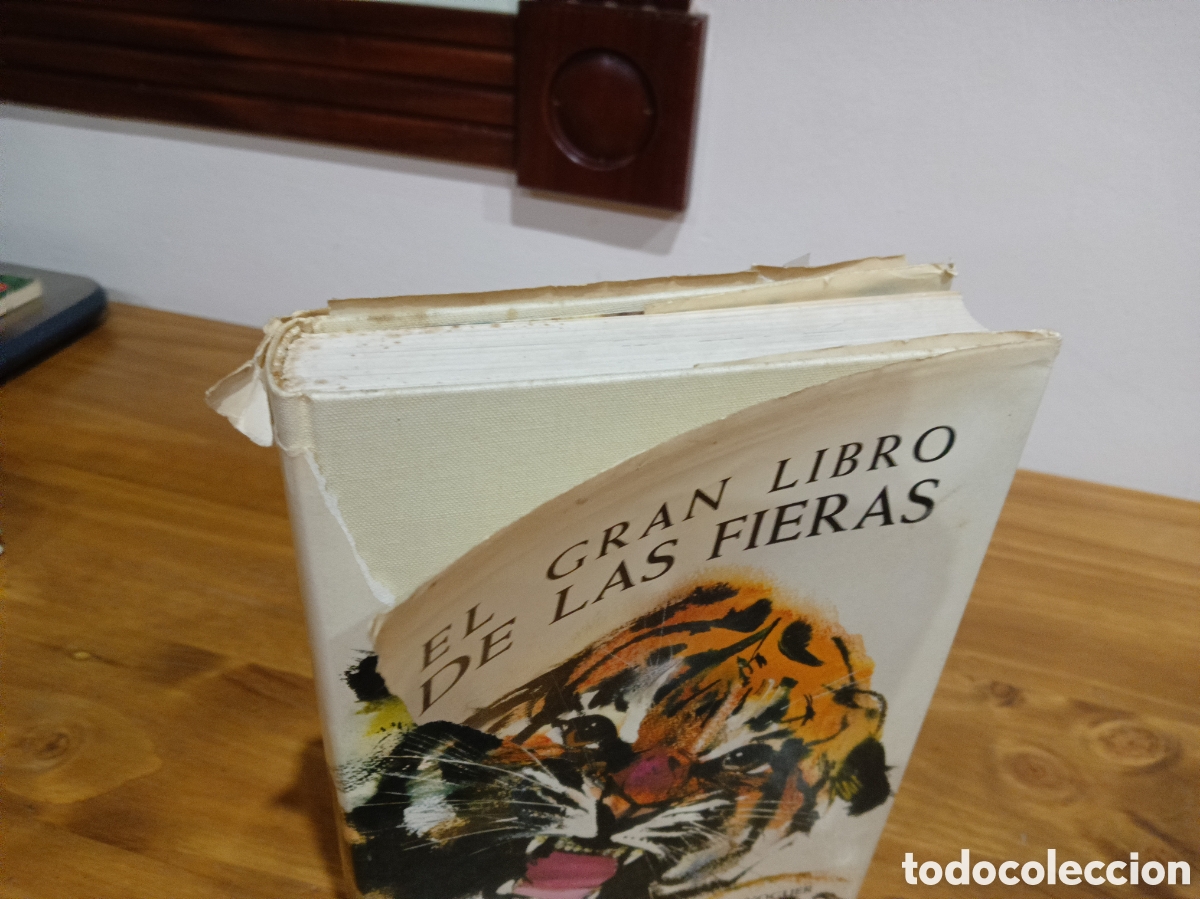 Libros de segunda mano: El gran libro de las fieras - Foto 11