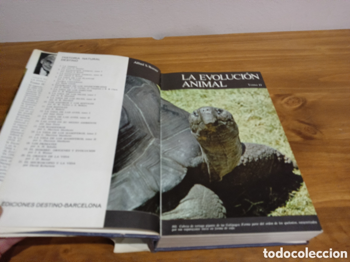 Libros de segunda mano: La evoluci&oacute;n animal tomo II. - Foto 3