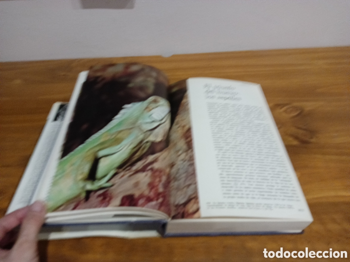 Libros de segunda mano: La evoluci&oacute;n animal tomo II. - Foto 5