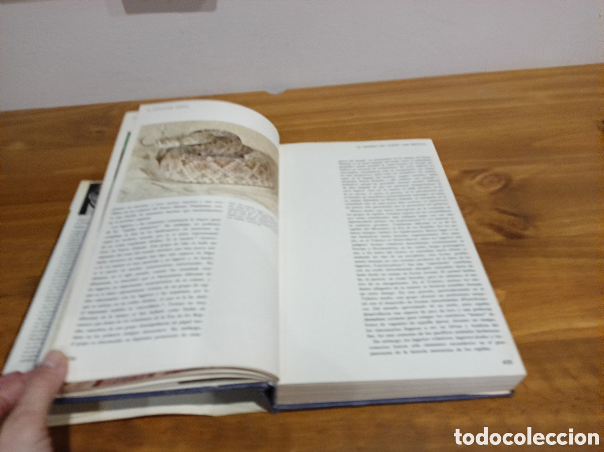 Libros de segunda mano: La evoluci&oacute;n animal tomo II. - Foto 6