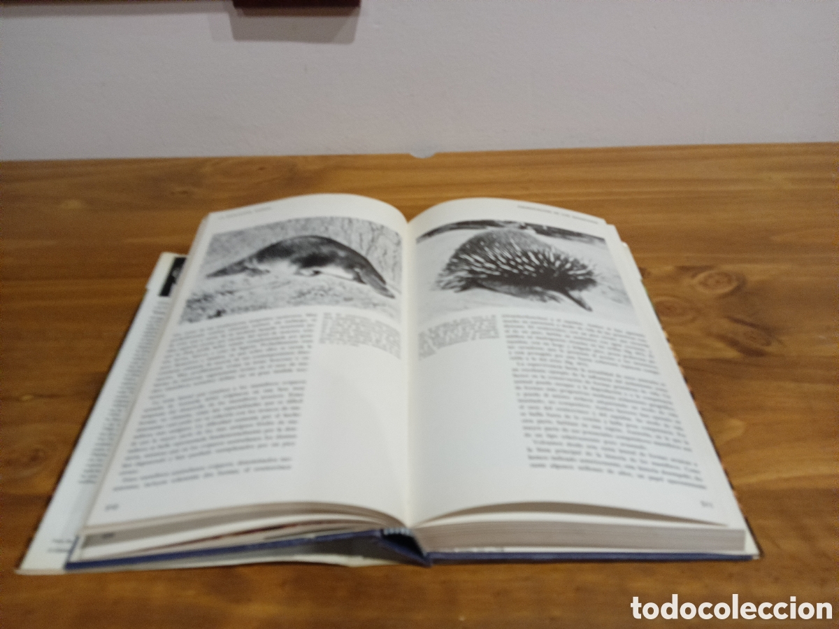 Libros de segunda mano: La evoluci&oacute;n animal tomo II. - Foto 7