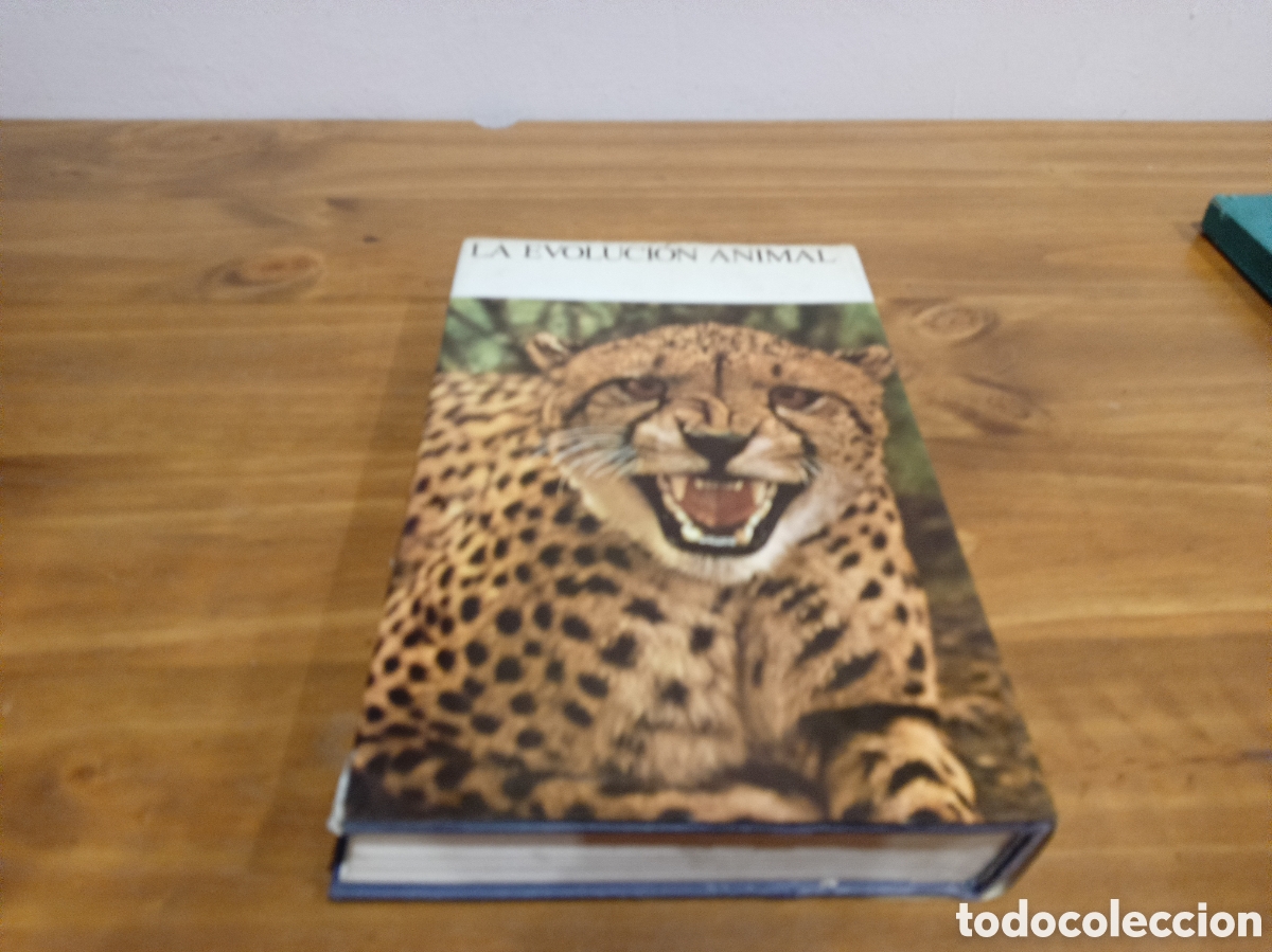 Libros de segunda mano: La evoluci&oacute;n animal tomo II. - Foto 9