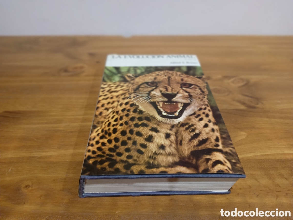 Libros de segunda mano: La evoluci&oacute;n animal tomo II. - Foto 1