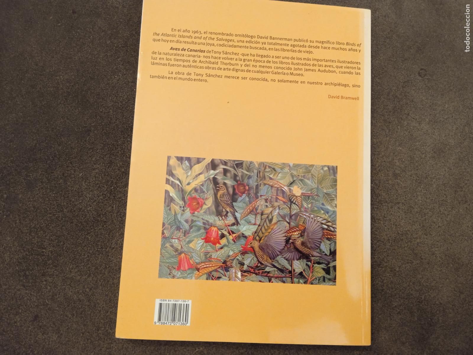 Libros de segunda mano: AVES CANARIAS NIDIFICANTES. TONY SANCHEZ. EDITORIAL RUEDA. - Foto 5