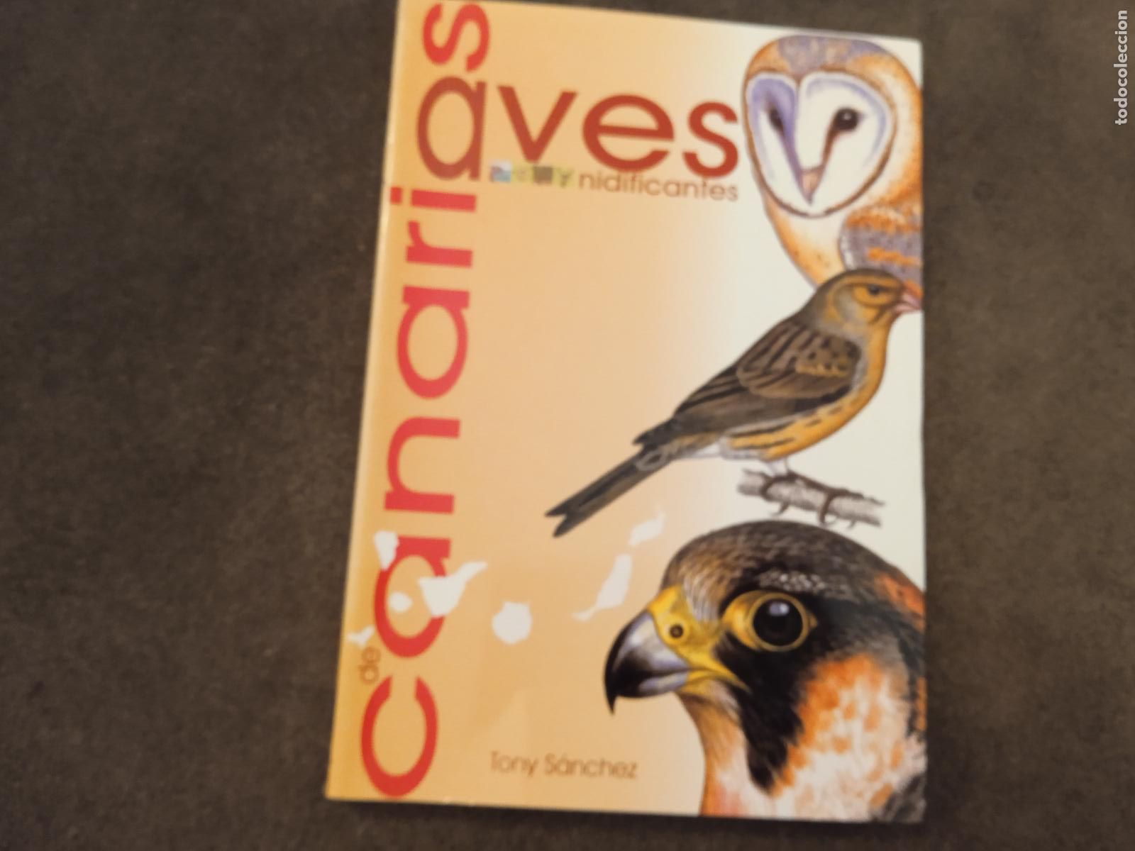 Libros de segunda mano: AVES CANARIAS NIDIFICANTES. TONY SANCHEZ. EDITORIAL RUEDA. - Foto 1