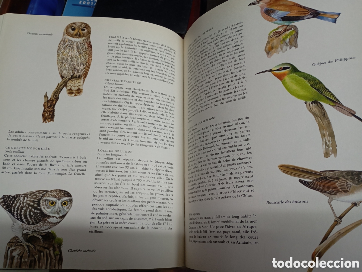 Libros de segunda mano: Jiri Felix, Faune dAsie - Foto 2