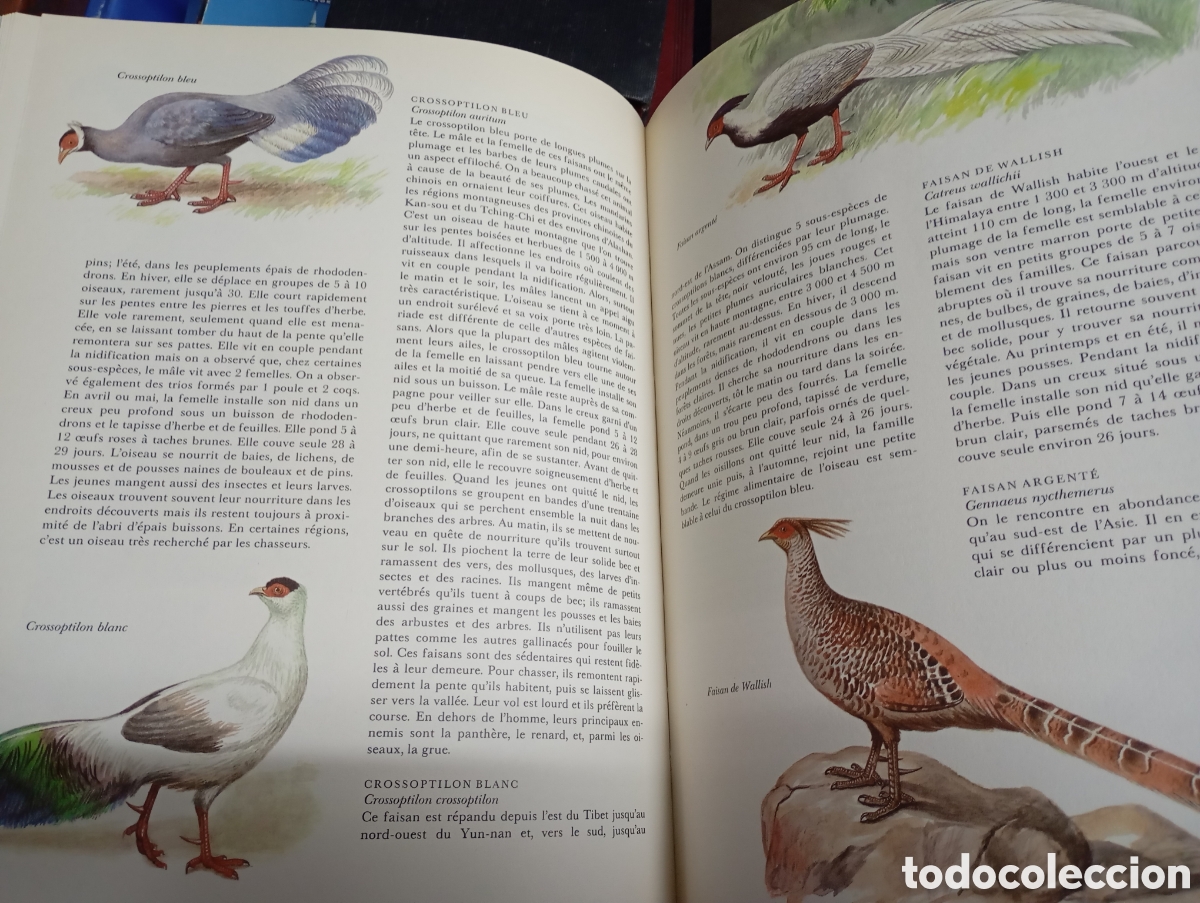 Libros de segunda mano: Jiri Felix, Faune dAsie - Foto 3