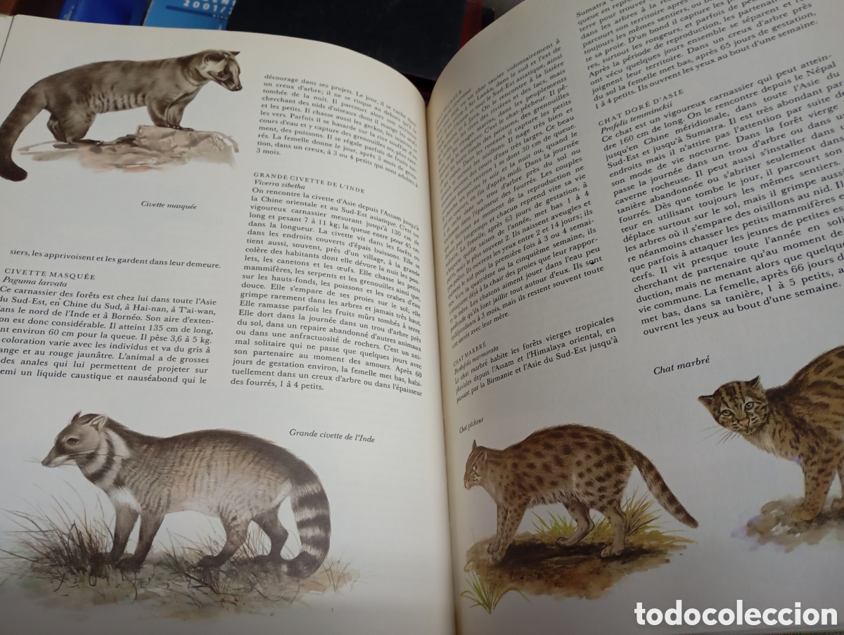 Libros de segunda mano: Jiri Felix, Faune dAsie - Foto 4