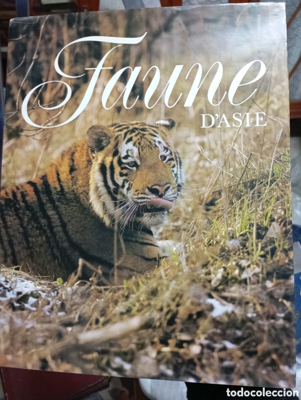 Libros de segunda mano: Jiri Felix, Faune dAsie - Foto 1