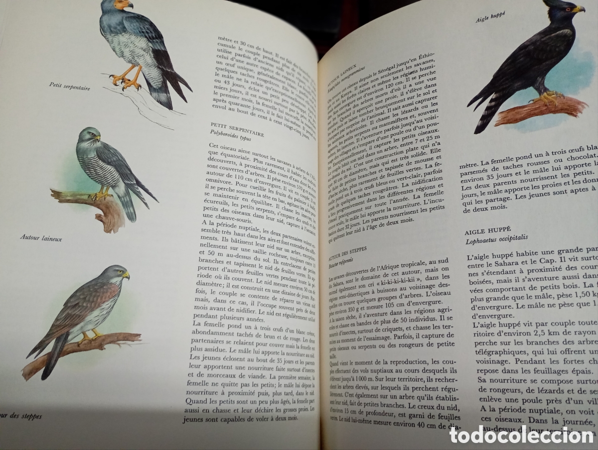 Libros de segunda mano: Jiri Felix, Faune dAfrique - Foto 3