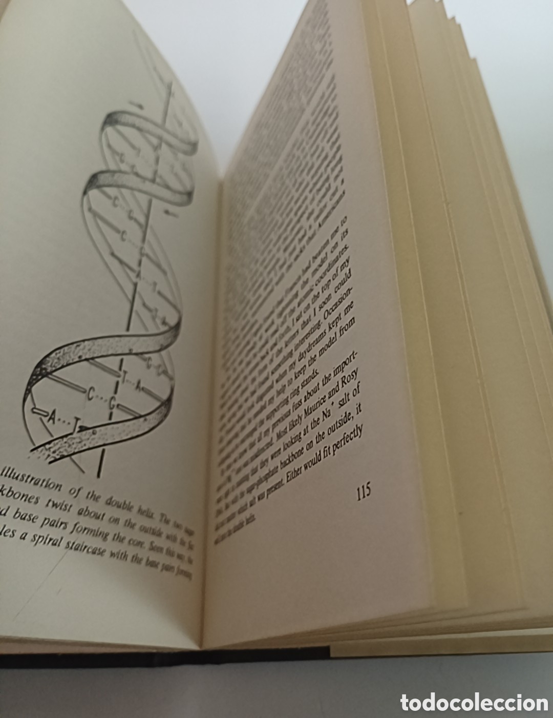 Libros de segunda mano: The Double helix 1969 James D. Watson INGL&Eacute;S - Foto 5
