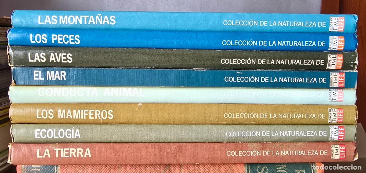 Libros de segunda mano: Colecci&oacute;n de la Naturaleza de &rdquo;Libros de Time Life&rdquo; - Foto 1