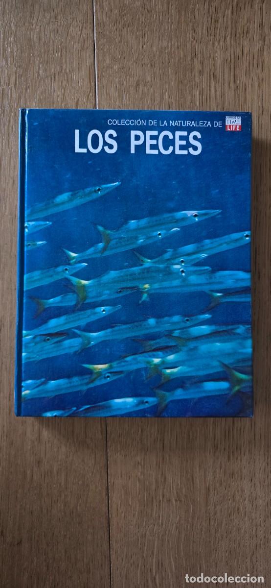 Libros de segunda mano: Colecci&oacute;n de la Naturaleza de &rdquo;Libros de Time Life&rdquo; - Foto 3