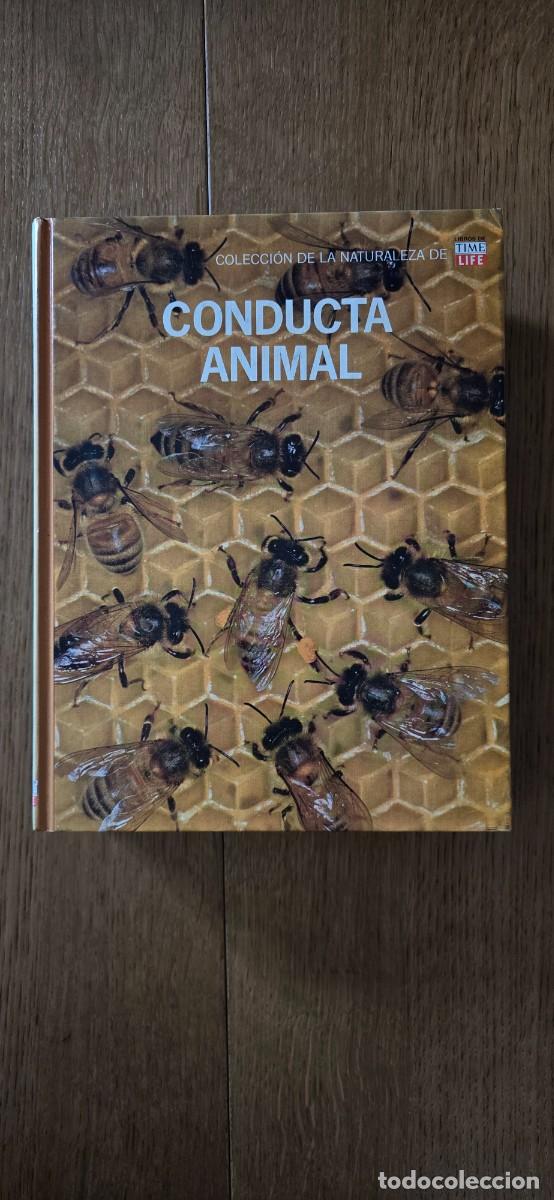 Libros de segunda mano: Colecci&oacute;n de la Naturaleza de &rdquo;Libros de Time Life&rdquo; - Foto 6