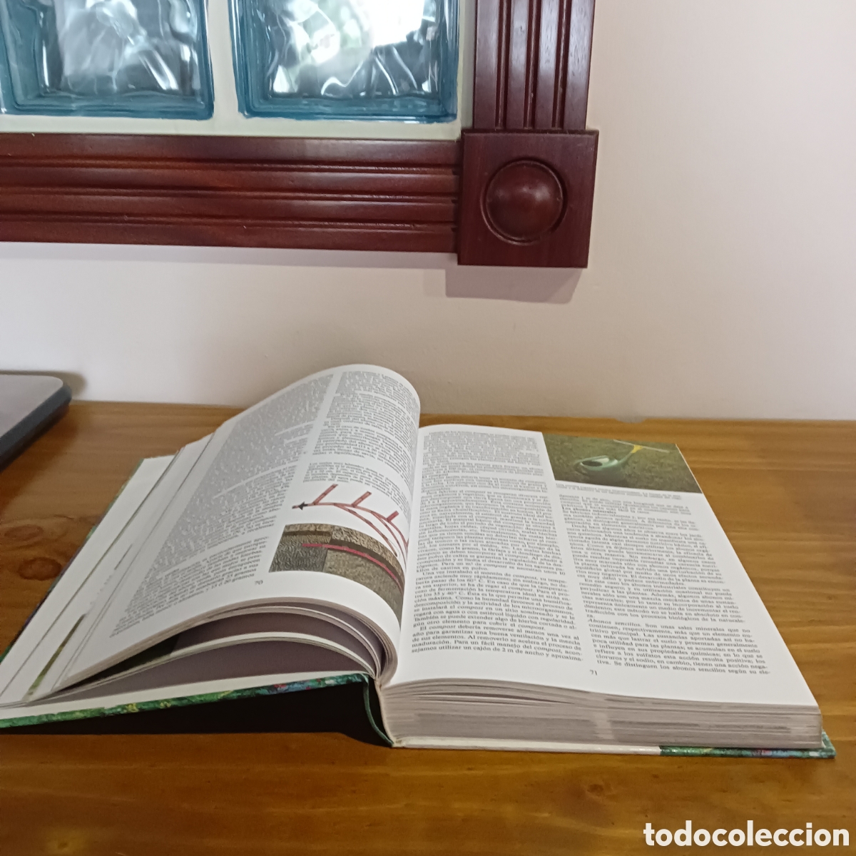 Libros de segunda mano: Enciclopedia de la jardiner&iacute;a. - Foto 2