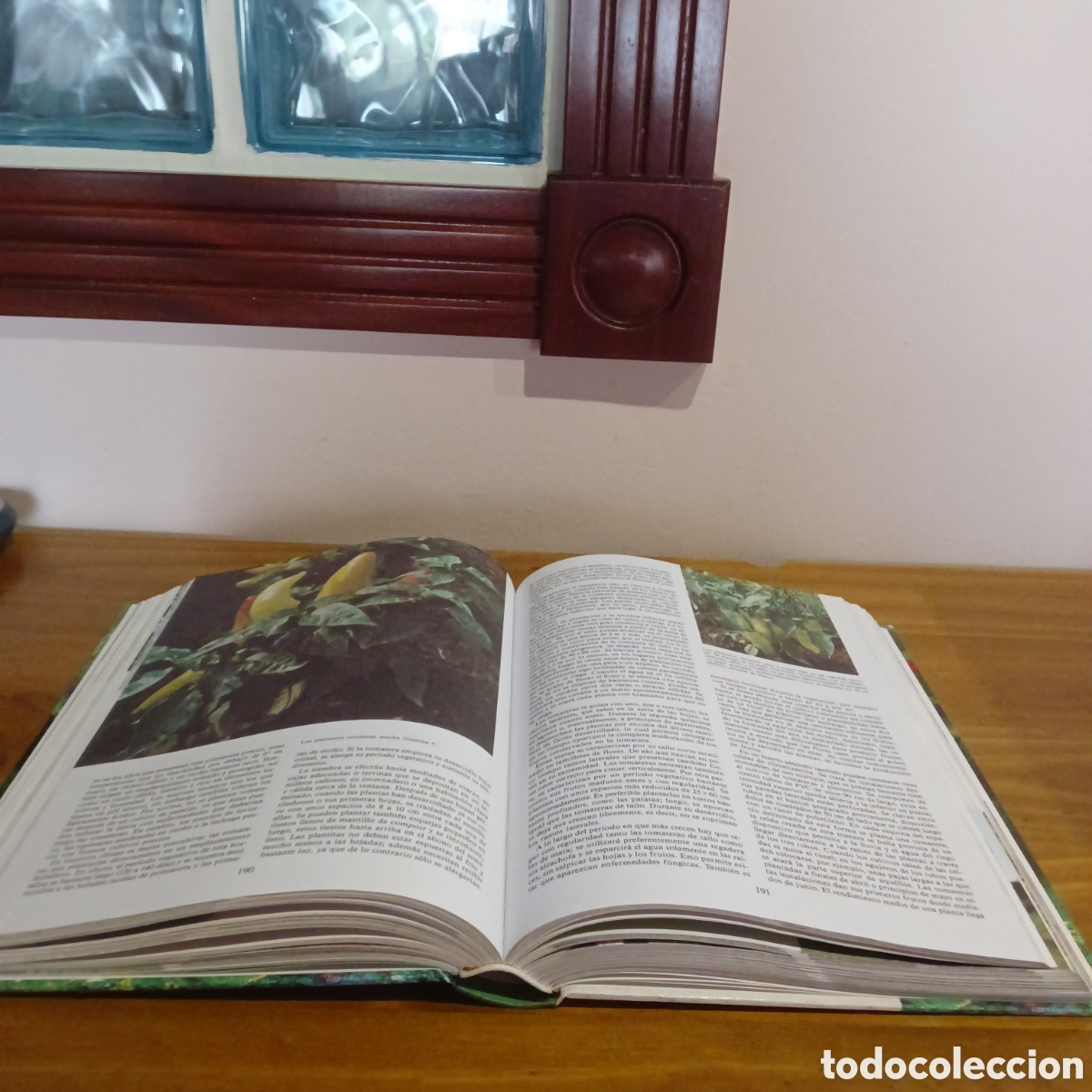 Libros de segunda mano: Enciclopedia de la jardiner&iacute;a. - Foto 3