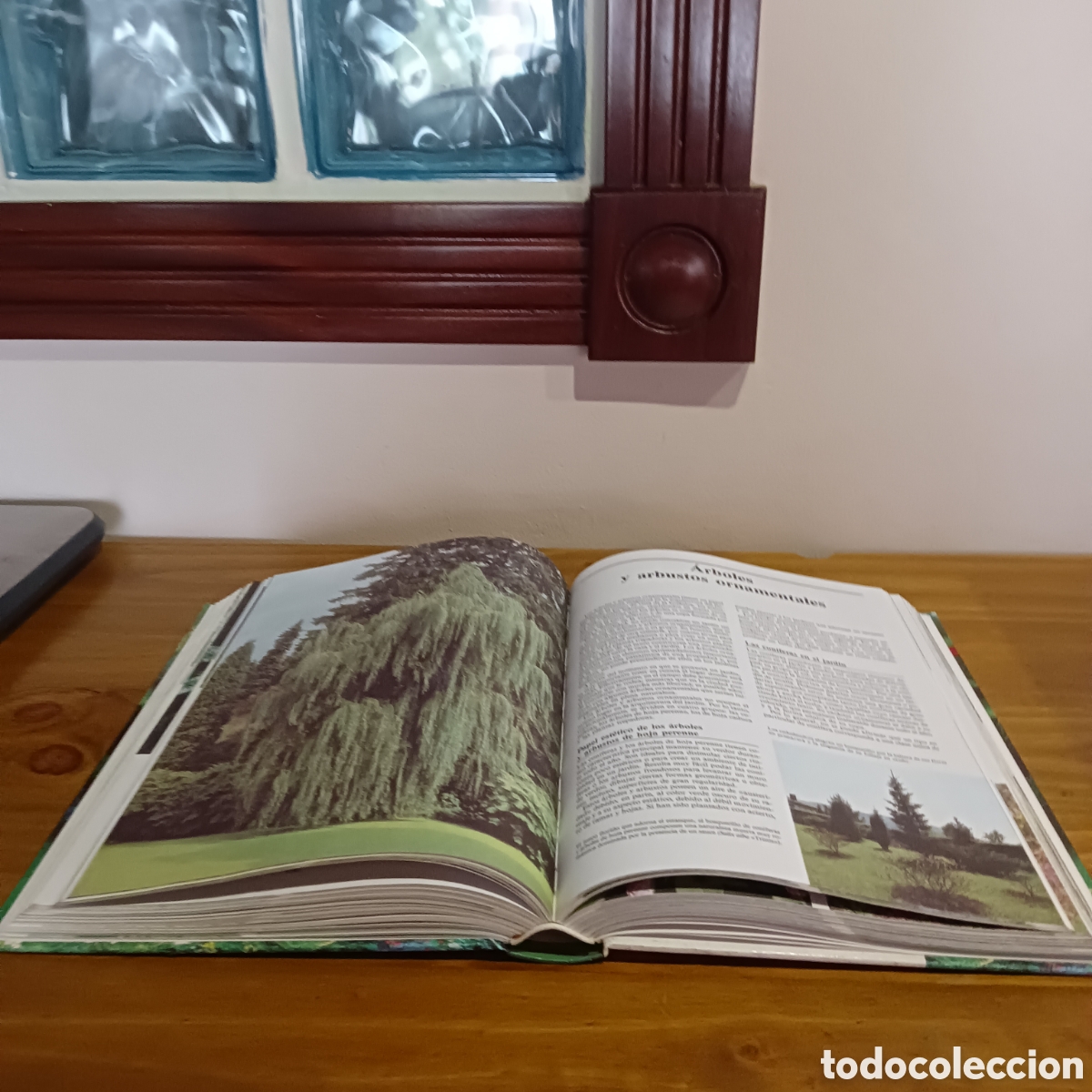 Libros de segunda mano: Enciclopedia de la jardiner&iacute;a. - Foto 4
