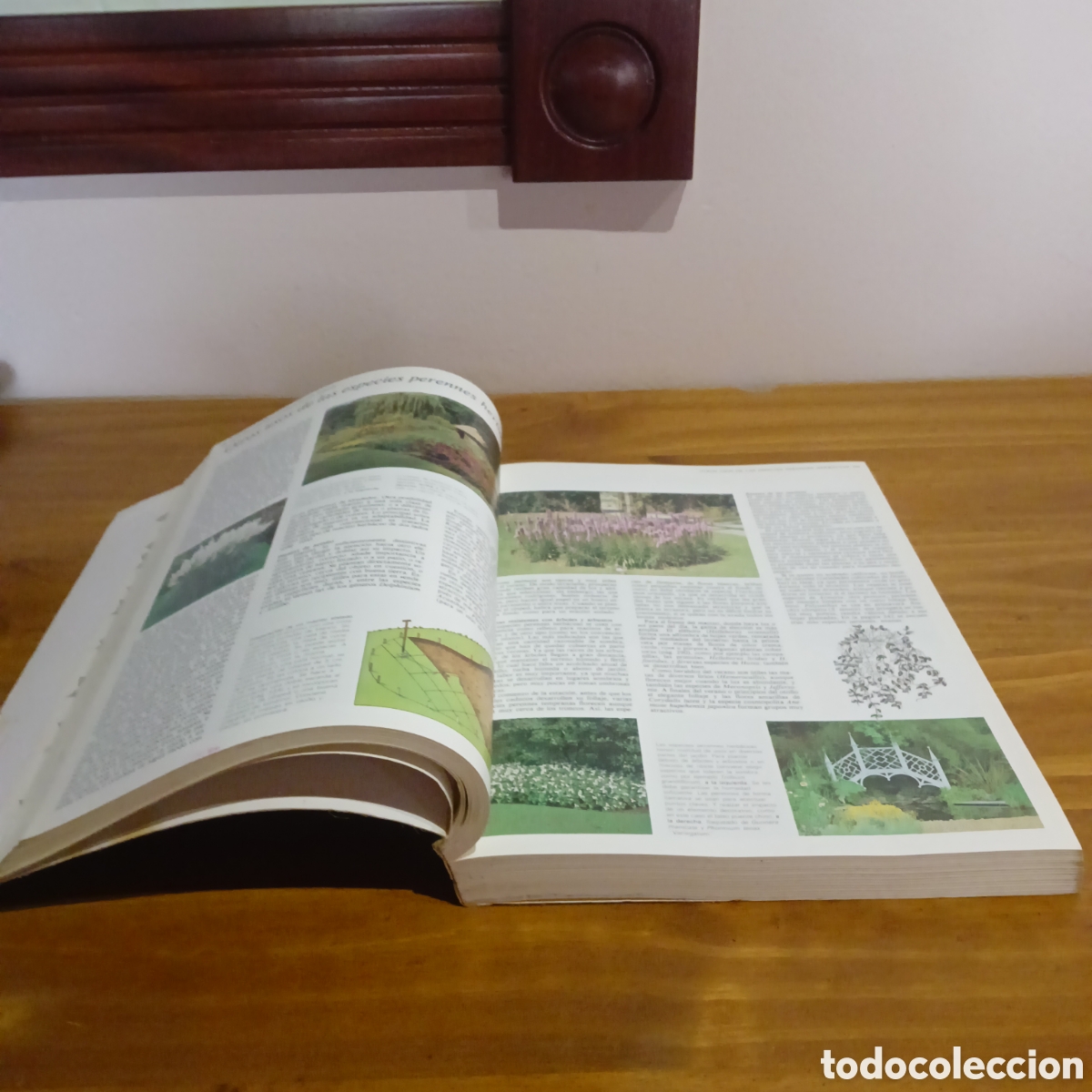 Libros de segunda mano: El gran libro del jard&iacute;n. Editorial blume - Foto 3