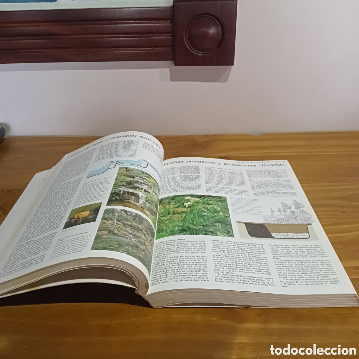 Libros de segunda mano: El gran libro del jard&iacute;n. Editorial blume - Foto 4