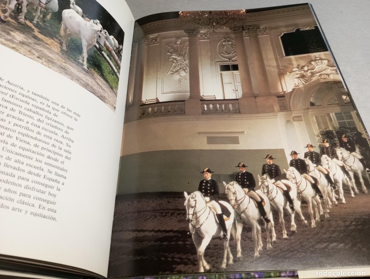 Libros de segunda mano: CABALLOS / MICHAEL CLAYTON / SUSAETA EDICIONES 1991 - Foto 4