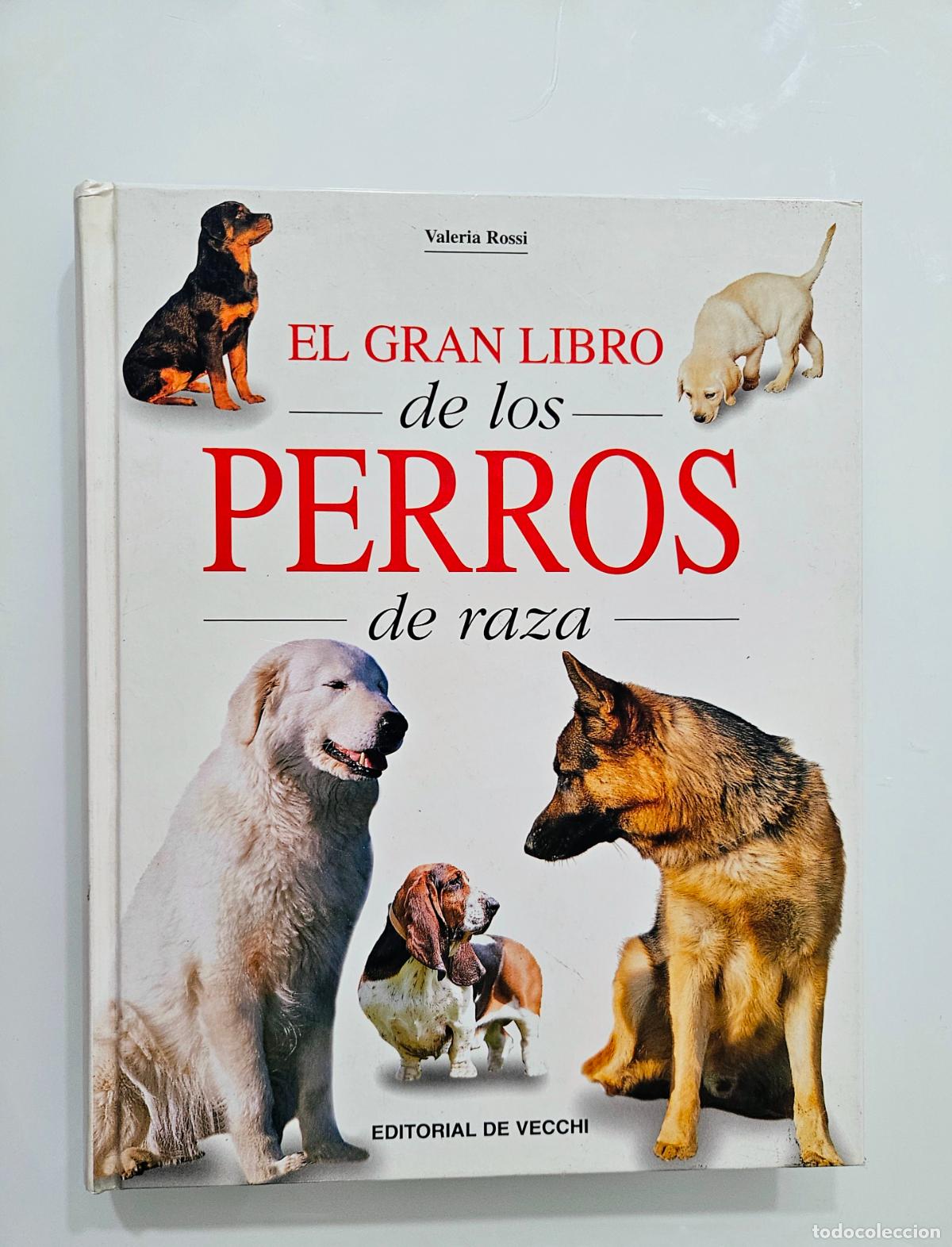 Libros de segunda mano: El gran libro de los perros de raza | Rossi, Valeria | De Vecchi Ediciones. 2001 - Foto 2